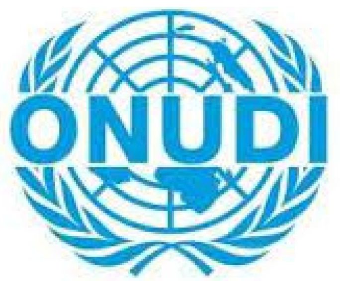 منظمة الأمم المتحدة للتنمية الصناعية (ONUDI)