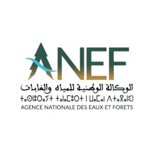 Agence Nationale des Eaux et Forêts (ANEF)